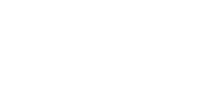 BeWo Kabel Logo